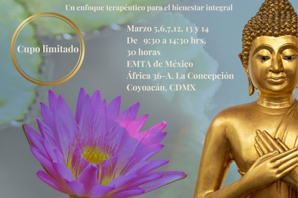 Curso Avanzado de Masaje Tailandés